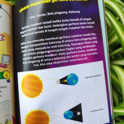 Foto 2