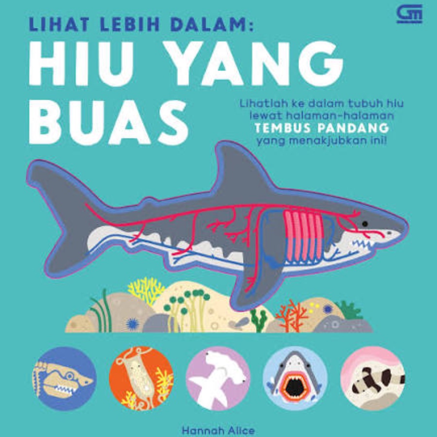 [Nosy Crow] Hiu yang Buas (Terjemahan)